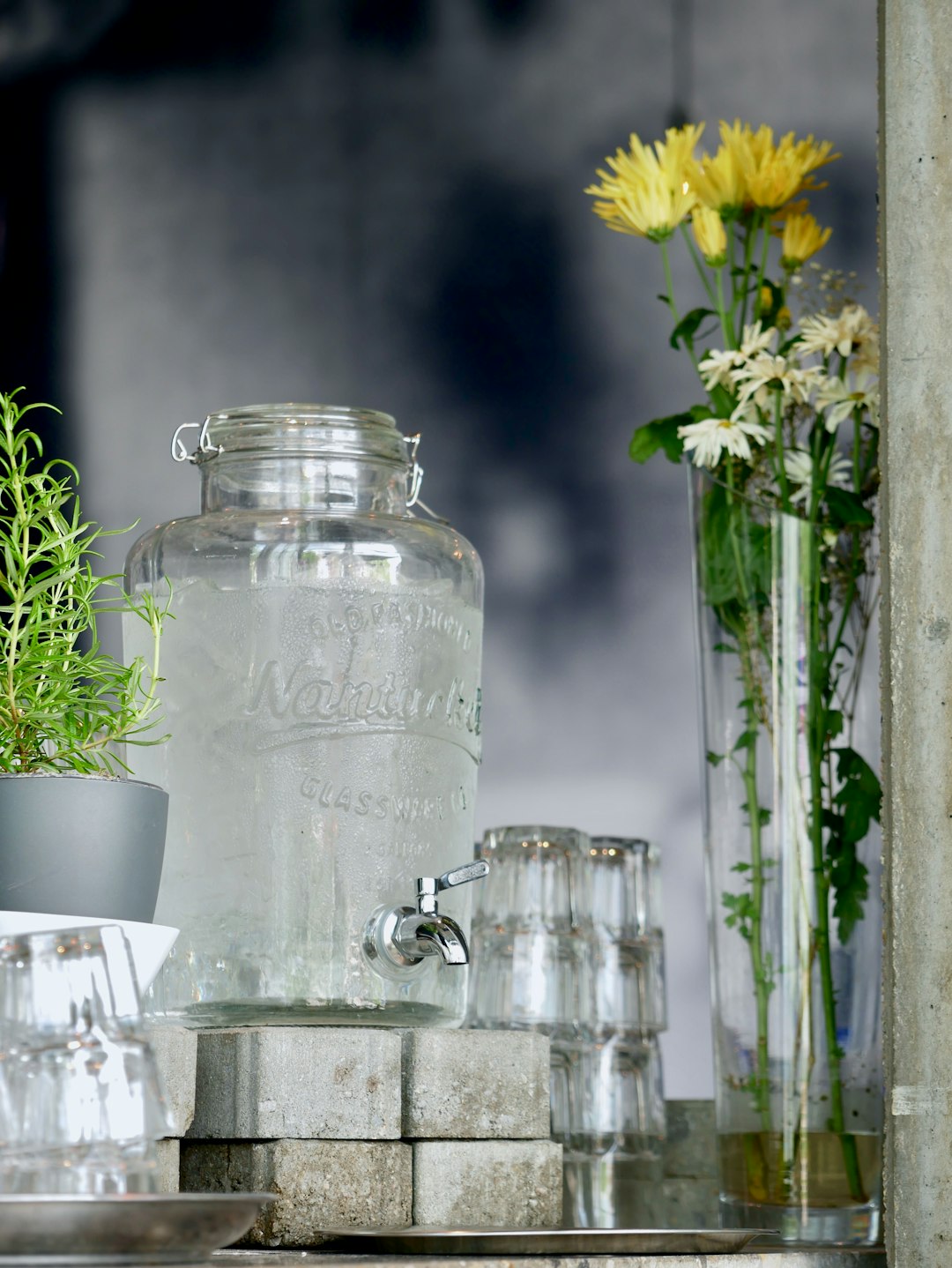 services-01 clear-glass-beverage-dispenser-beside-green-leafed-plant-fjy9utfwi9s